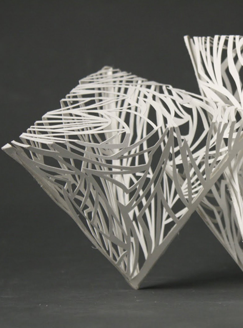 desai brothers - banner